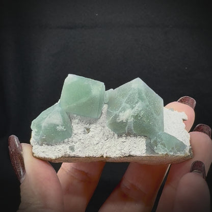Fluorite Cubes on Matrix