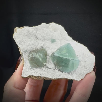 Fluorite Cubes on Matrix