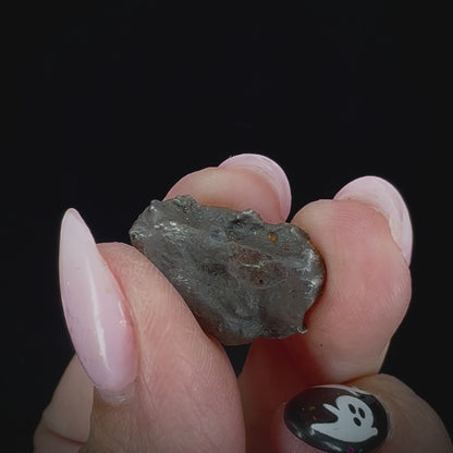Meteorite - Sikhote-Alin - Octahedrite