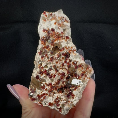 Garnet
