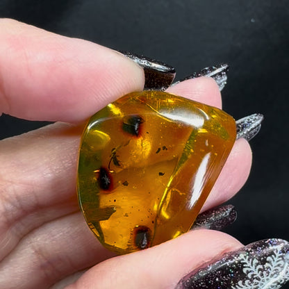 Amber w/ Insect Inclusions