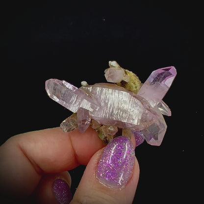 Veracruz Amethyst