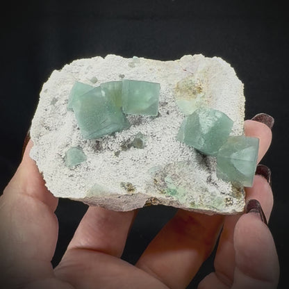 Fluorite Cubes on Matrix