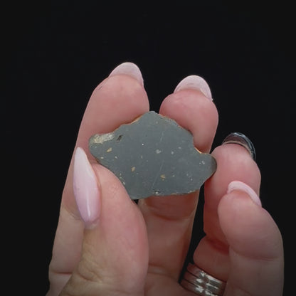 Meteorite - NWA 13974 - Lunar