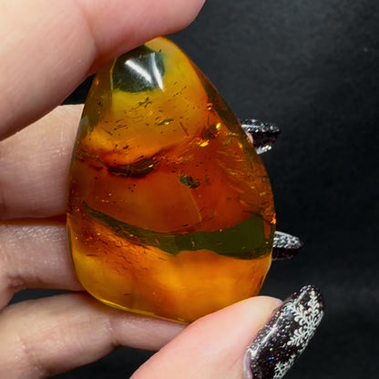 Amber w/ Insect Inclusions