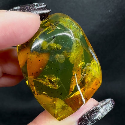 Amber w/ Insect Inclusions