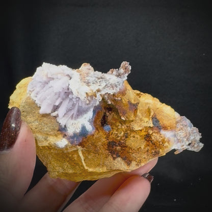 Creedite