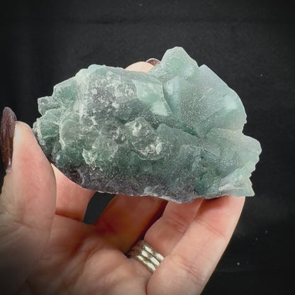 Fluorite Cubes on Matrix
