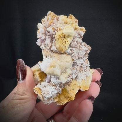 Creedite