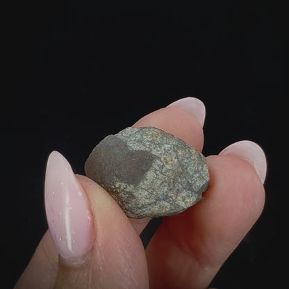 Meteorite - Vinales - Chondrite
