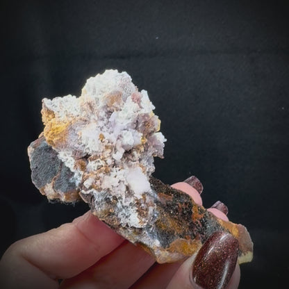 Creedite