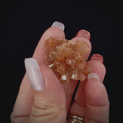 Sml Aragonite Asst. Cluster