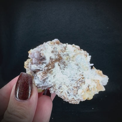 Creedite