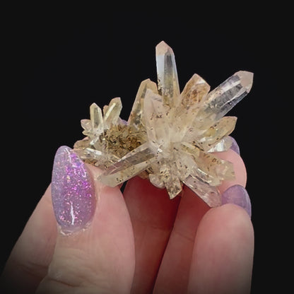 Veracruz Amethyst