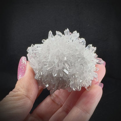 Chrysanthemum Stone