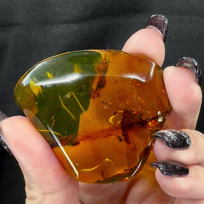 Amber w/ Insect Inclusions