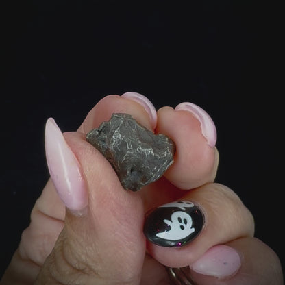Meteorite - Sikhote-Alin - Octahedrite