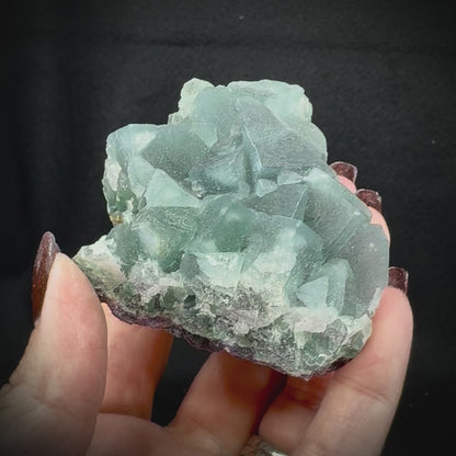 Fluorite Cubes on Matrix