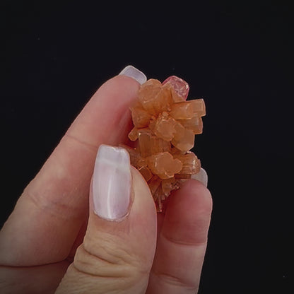 Sml Aragonite Asst. Cluster