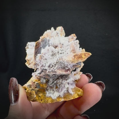 Creedite