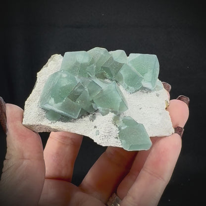 Fluorite Cubes on Matrix