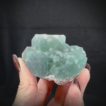 Fluorite Cubes on Matrix