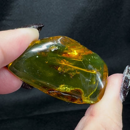 Amber w/ Insect Inclusions