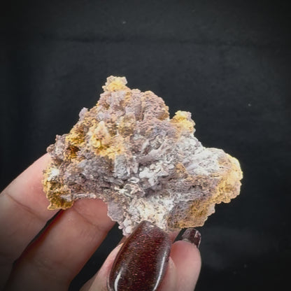 Creedite
