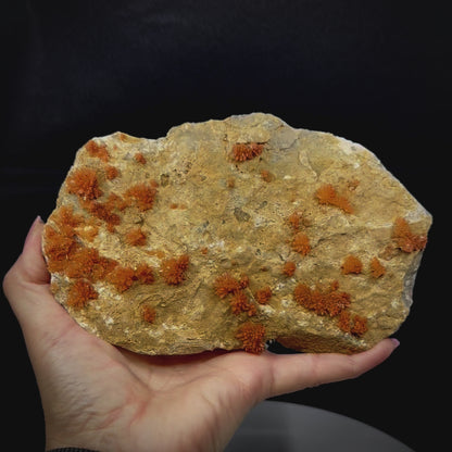 Calcite Stalactite