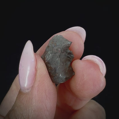Meteorite - Sikhote-Alin - Octahedrite