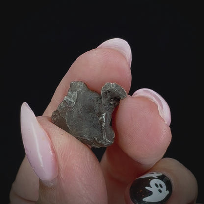 Meteorite - Sikhote-Alin - Octahedrite