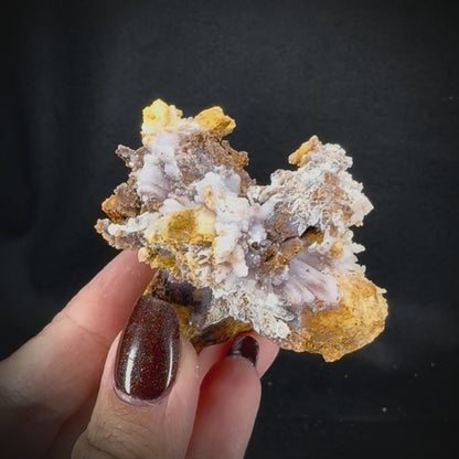 Creedite