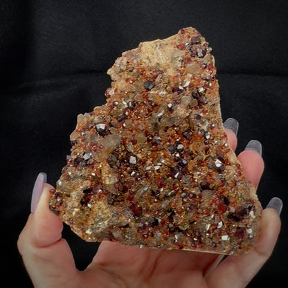 Garnet