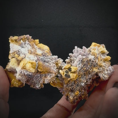 Creedite