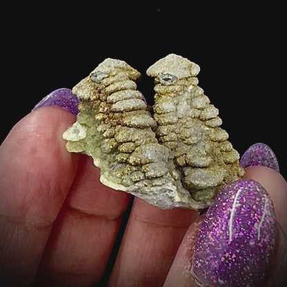 Pagoda Calcite w/ Rainbow Pyrite