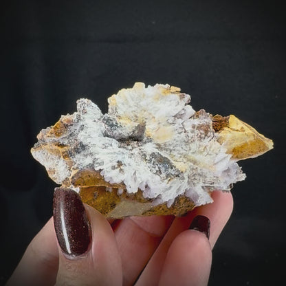 Creedite