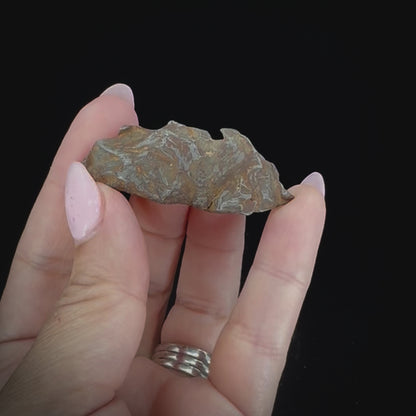 Meteorite - Gebel Kamil - Nickel Iron