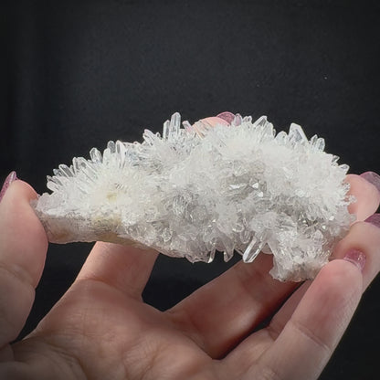 Chrysanthemum Stone