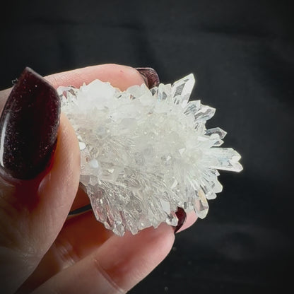 Chrysanthemum Stone