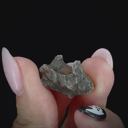 Meteorite - Sikhote-Alin - Octahedrite
