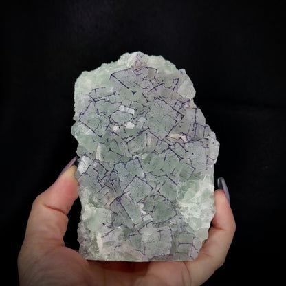 Fluorite QR