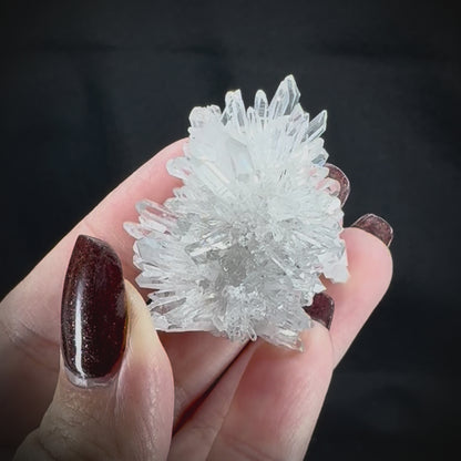 Chrysanthemum Stone