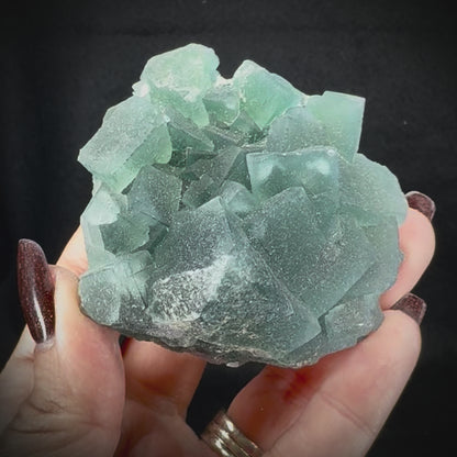 Fluorite Cubes on Matrix