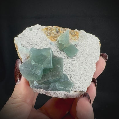 Fluorite Cubes on Matrix