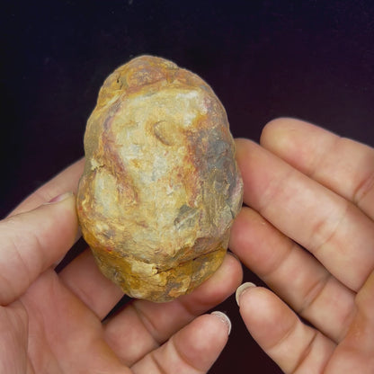 Trilobite Geodes