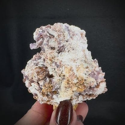 Creedite