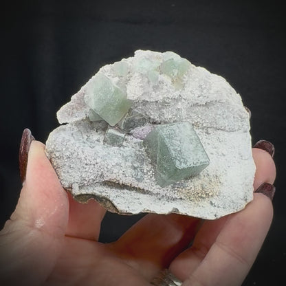 Fluorite Cubes on Matrix