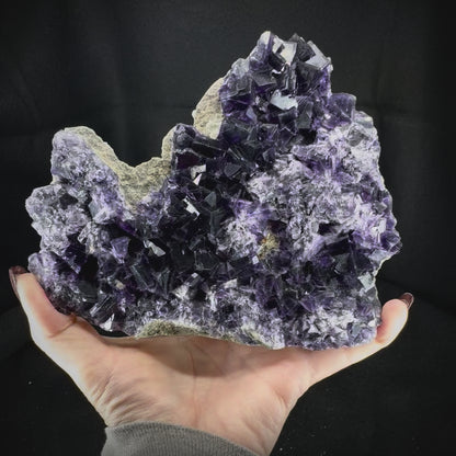 Fluorite Purple (Med/Lg)