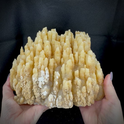 Stalactite Formation (Calcite)