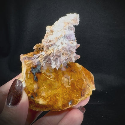 Creedite